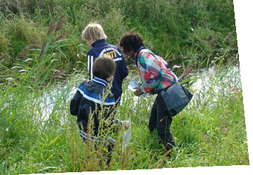 kinderen van het landschap