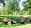 thumb kinderen van het landschap